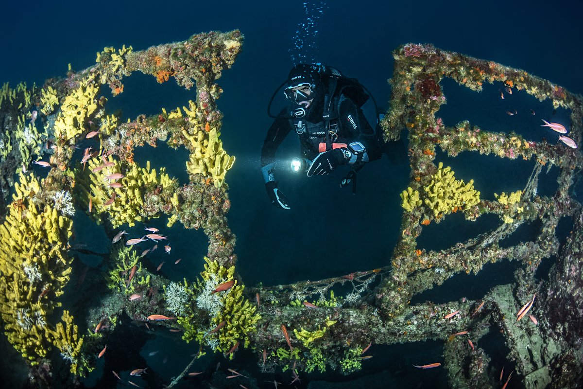 Diver photographing underwater scene