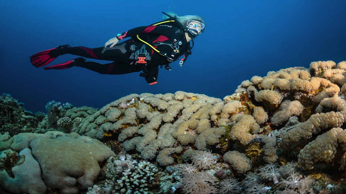 PADI diving students learning underwater skills with certified PADI instructor